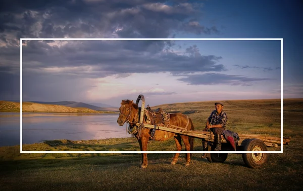 Кінь сидить на коні візку — стокове фото