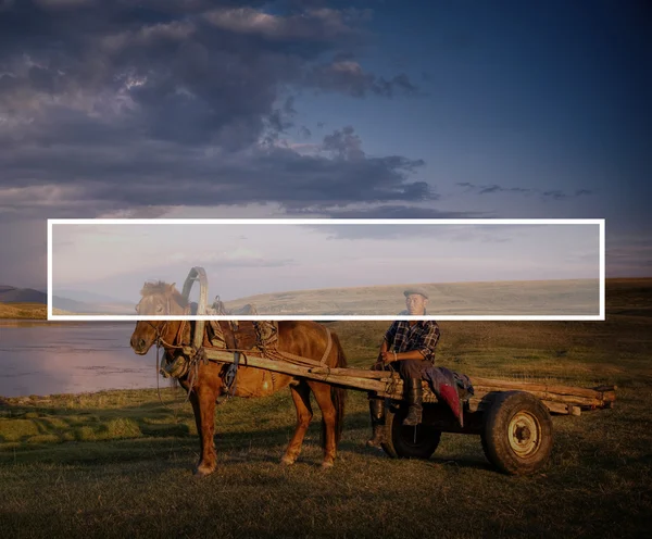 Horse Man Sitting Pe O Cal Cart — Fotografie, imagine de stoc