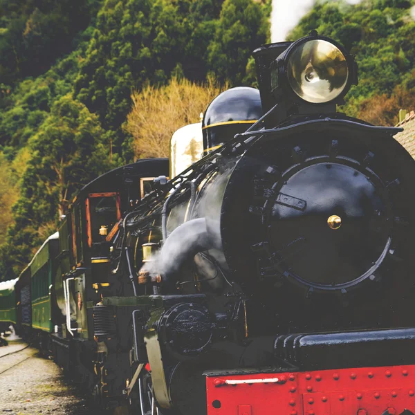 Tren de vapor Campo Ferrocarril — Foto de Stock