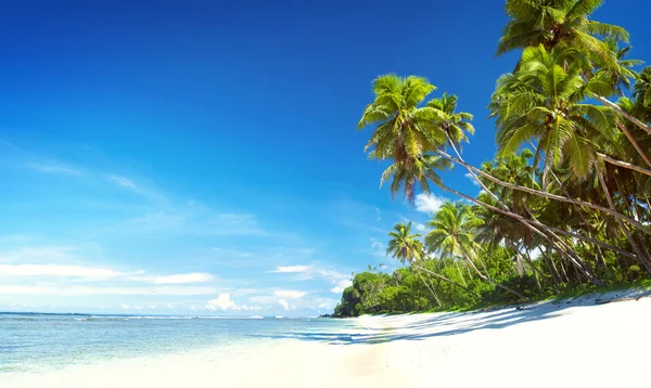 Verano Paradise Seascape Concept —  Fotos de Stock