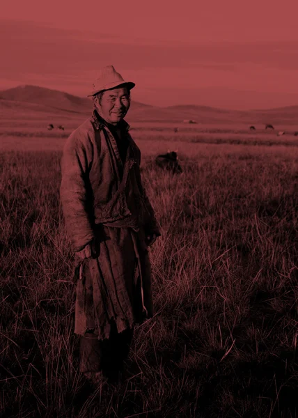 Hombre ordeñador mongol —  Fotos de Stock