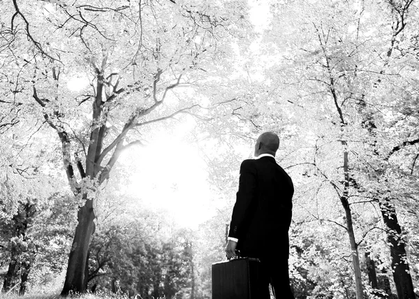 Uomo d'affari con valigia nella foresta — Foto Stock