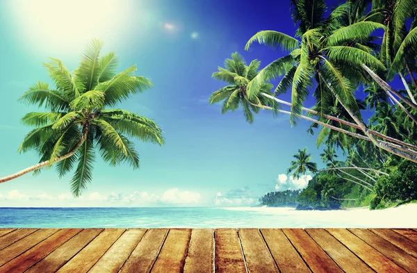 Concepto Tropical Paradise Beach —  Fotos de Stock