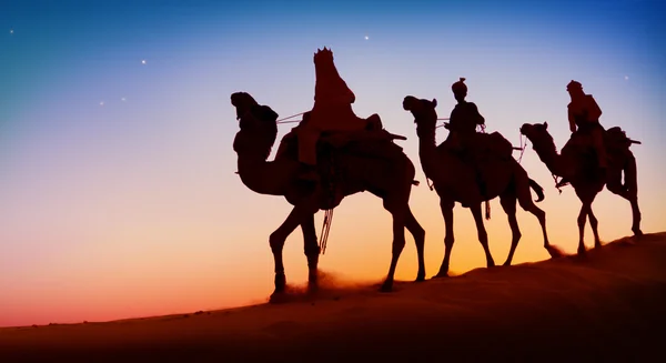 Män ridande kameler genom öken — Stockfoto