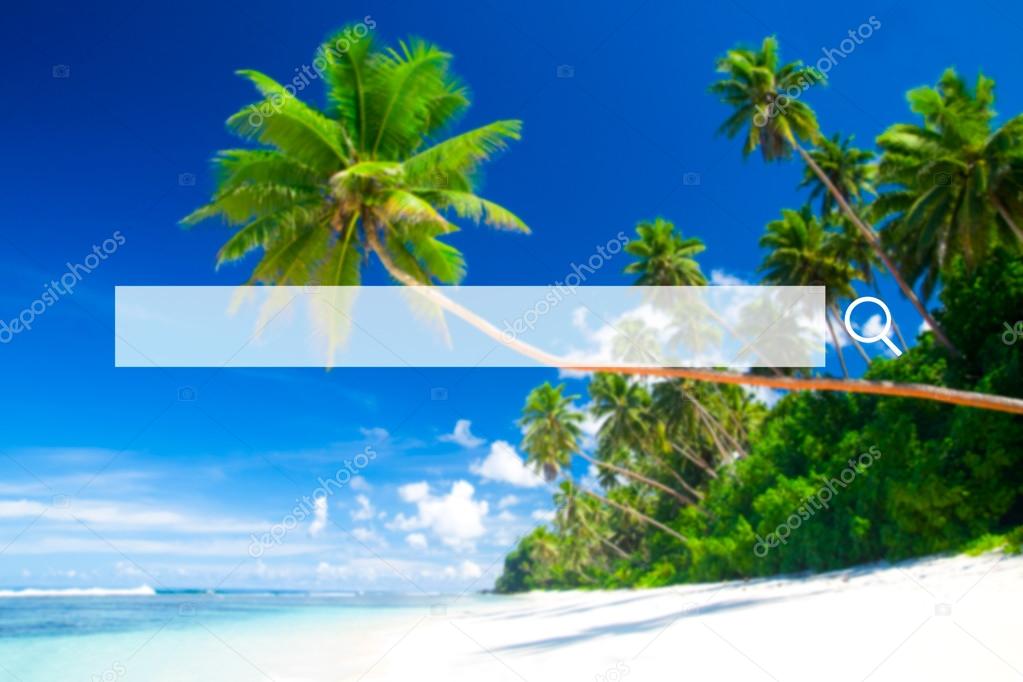 Summer Beach Tropical Concept