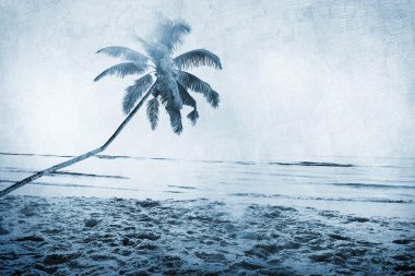 Yaz tropikal ada kavramı