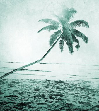 Yaz tropikal ada kavramı