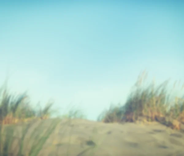 Wild Summer Shore Concept