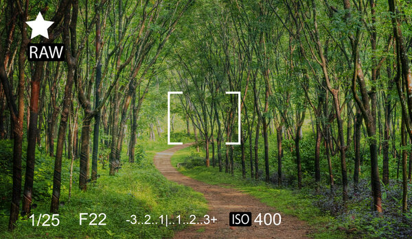 Camera Focus,  Photography Concept