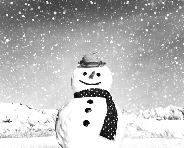 Navidad muñeco de nieve divertido — Foto de Stock