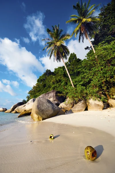 Playa de Malasia en verano —  Fotos de Stock