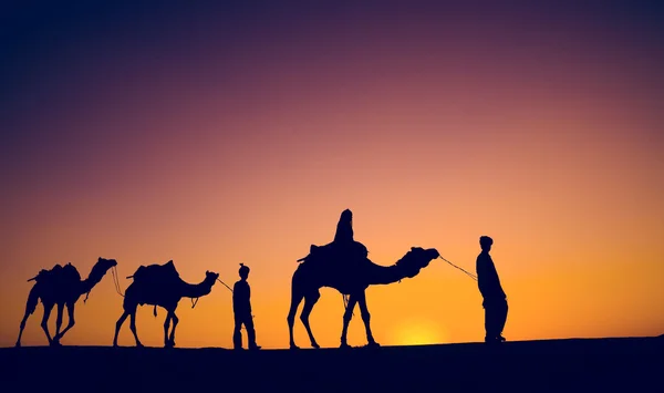 Homens montando camelos no deserto — Fotografia de Stock