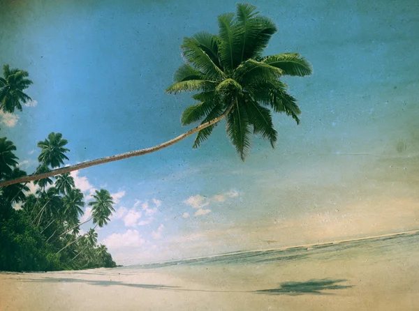 Conceito de Paraíso Tropical Estilo Vintage — Fotografia de Stock