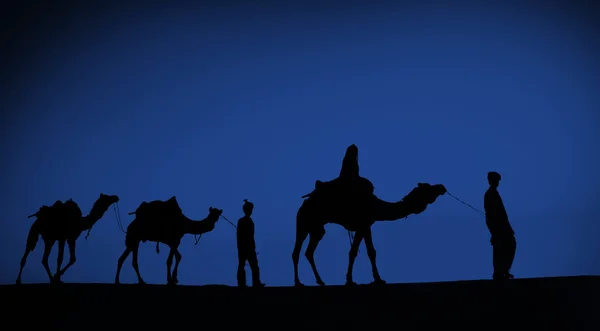 Homens montando camelos no deserto — Fotografia de Stock