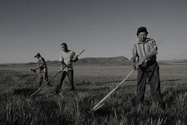 Agricultores mongoles trabajando —  Fotos de Stock