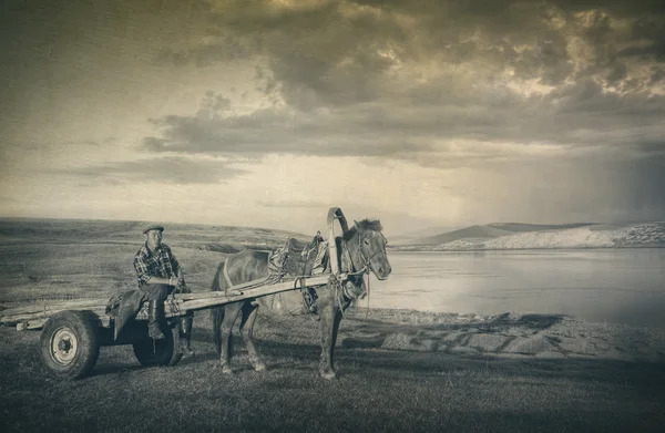 Horse Man Sitting On A Horse Cart — Stock Photo, Image