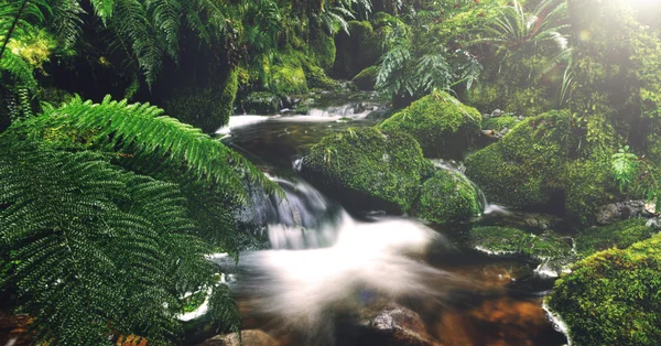 Fiordland Milli Parkı — Stok fotoğraf