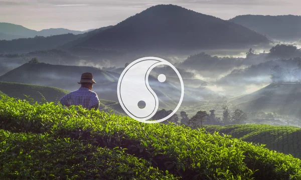 Equilibrio yin yang — Foto de Stock