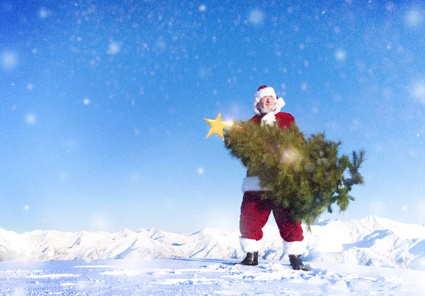 Papai Noel carregando árvore de Natal — Fotografia de Stock