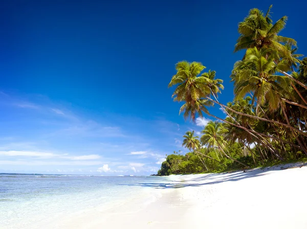 Zomers paradijs zeegezicht Concept — Stockfoto