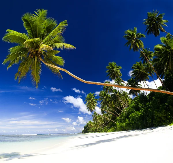 Zomers paradijs zeegezicht Concept — Stockfoto