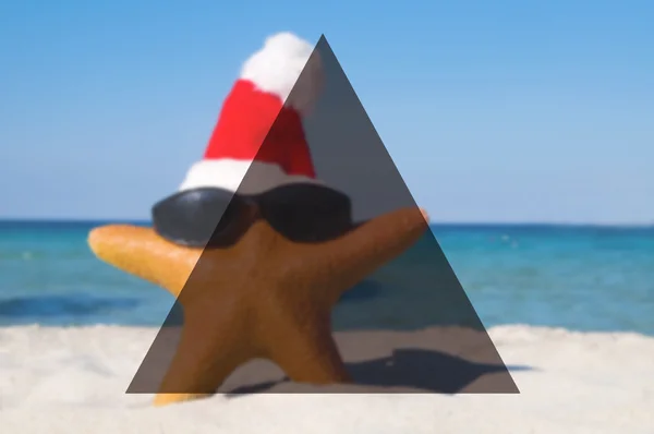 Морська зірка в капелюсі Санта — стокове фото