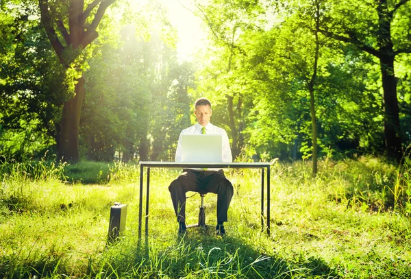 Homme d'affaires travaillant sur l'ordinateur dans la forêt — Photo