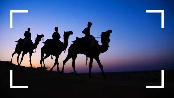 Kamelen en drie wijze mannen — Stockfoto