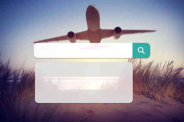 Vliegtuig en Search Box technologie Internet-Concept — Stockfoto