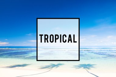 tropik tatil kavramı