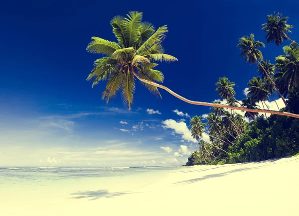 Verano Paradise Seascape Concept — Foto de Stock