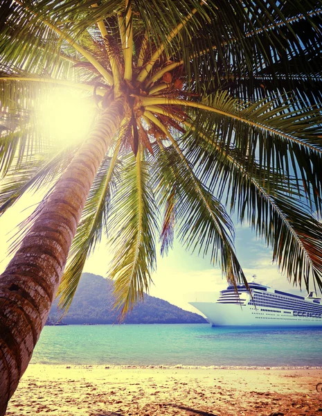 Zomer tropisch eiland en palmen — Stockfoto