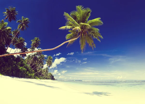 Conceito de paisagem marinha do Paraíso de Verão — Fotografia de Stock