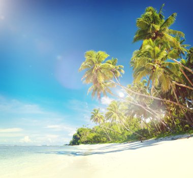 Tropikal plaj kavramı