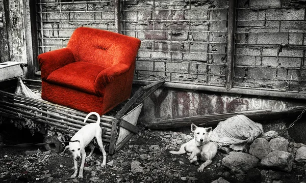 在马尼拉的废弃的沙发 — 图库照片