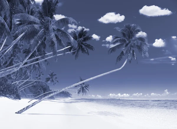Wonderful island Beach Concept — Stock Photo, Image