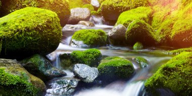 Basamaklı şelale taze doğa