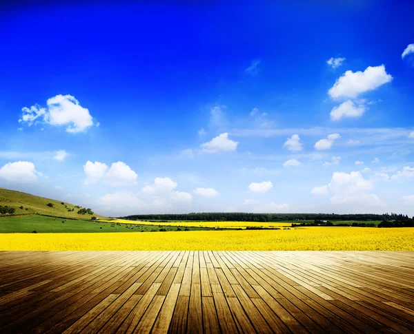 Prairie paisible à la campagne — Photo