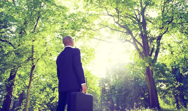 Empresario con maleta en bosque — Foto de Stock