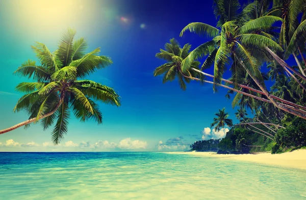 Tropical Paradise Beach koncept — Stockfoto