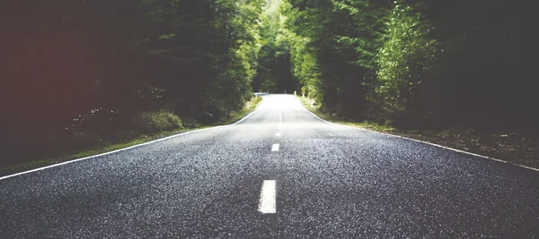 Sommerliche Landstraße — Stockfoto