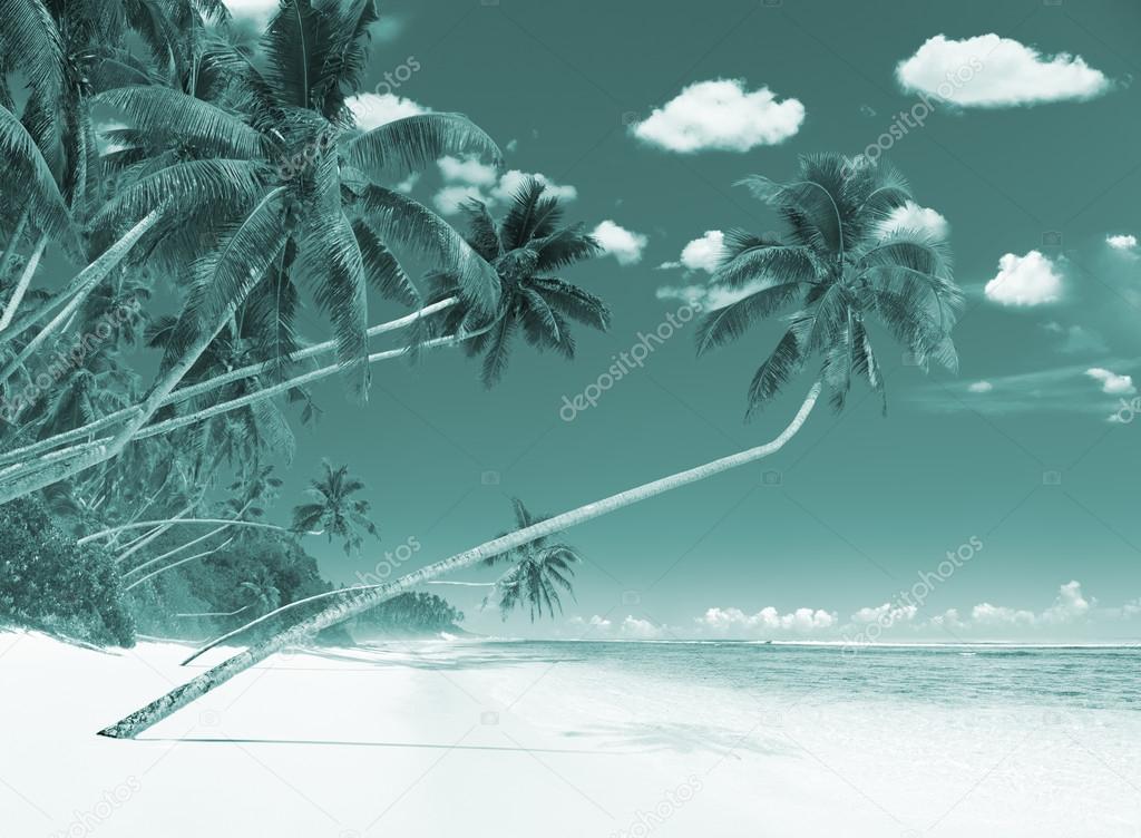 Wonderful island Beach Concept