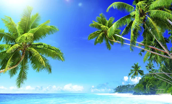 Tropical Paradise Beach koncept — Stockfoto