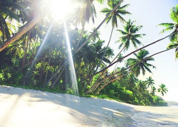 Spiaggia tropicale Concetto di natura — Foto Stock