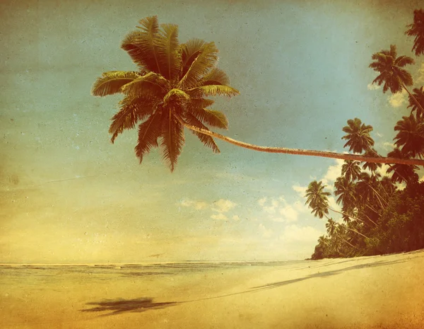 Vintage Style Tropical Paradise Concept — Stock Photo, Image