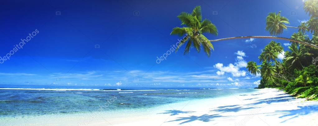 Tropical Beach Nature Concept