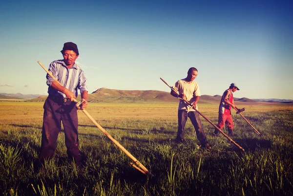 Agricultores mongóis trabalhando — Fotografia de Stock