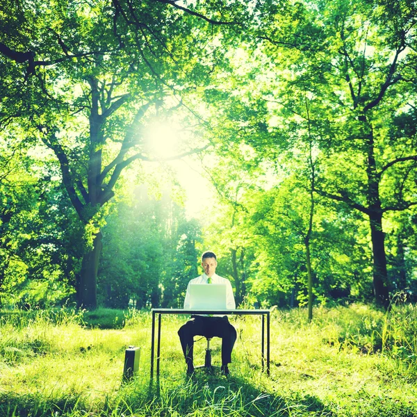 Empresario trabajando en el bosque — Foto de Stock