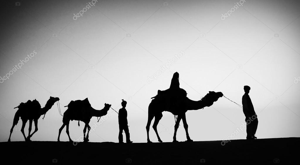 Men Riding Camels in  Desert 