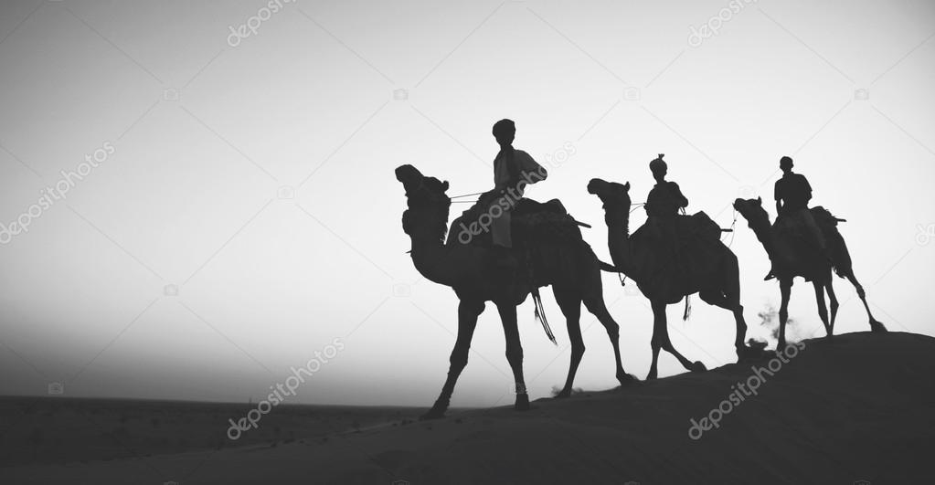 camels and three wise men
